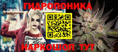 мяу мяу мука Дубна